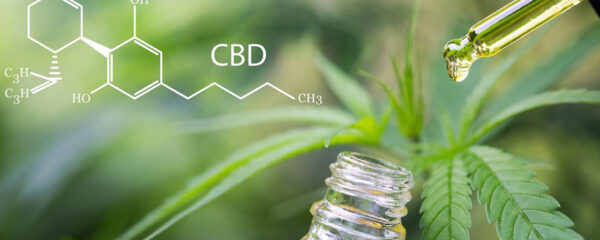 Applications du CBD