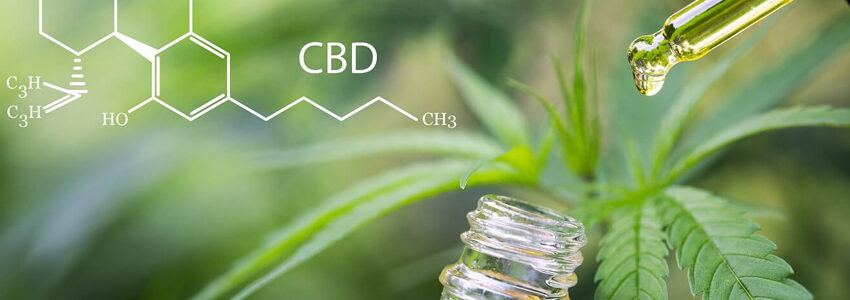 Applications du CBD